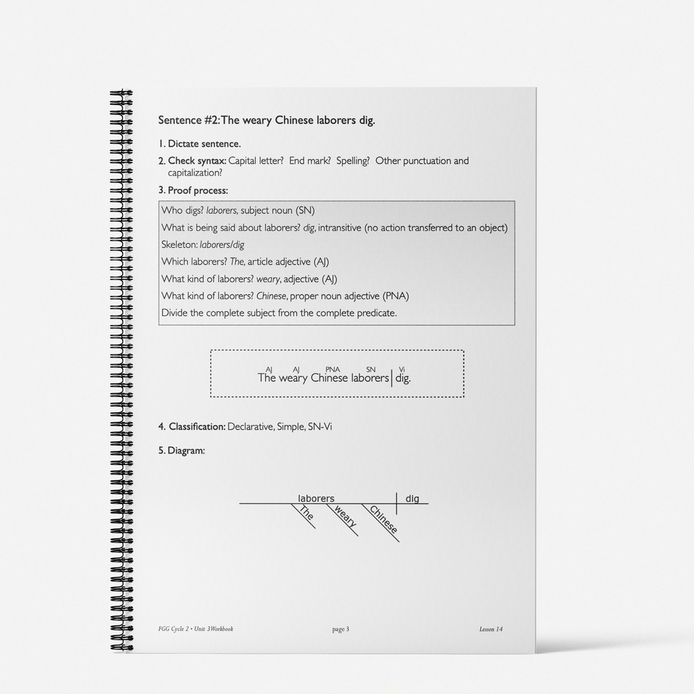 Cycle 2 FGG Workbook: Unit 3