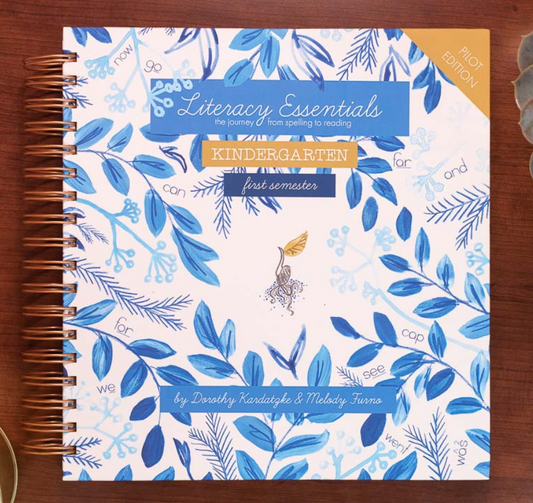 Kindergarten Teacher’s Guide Rental