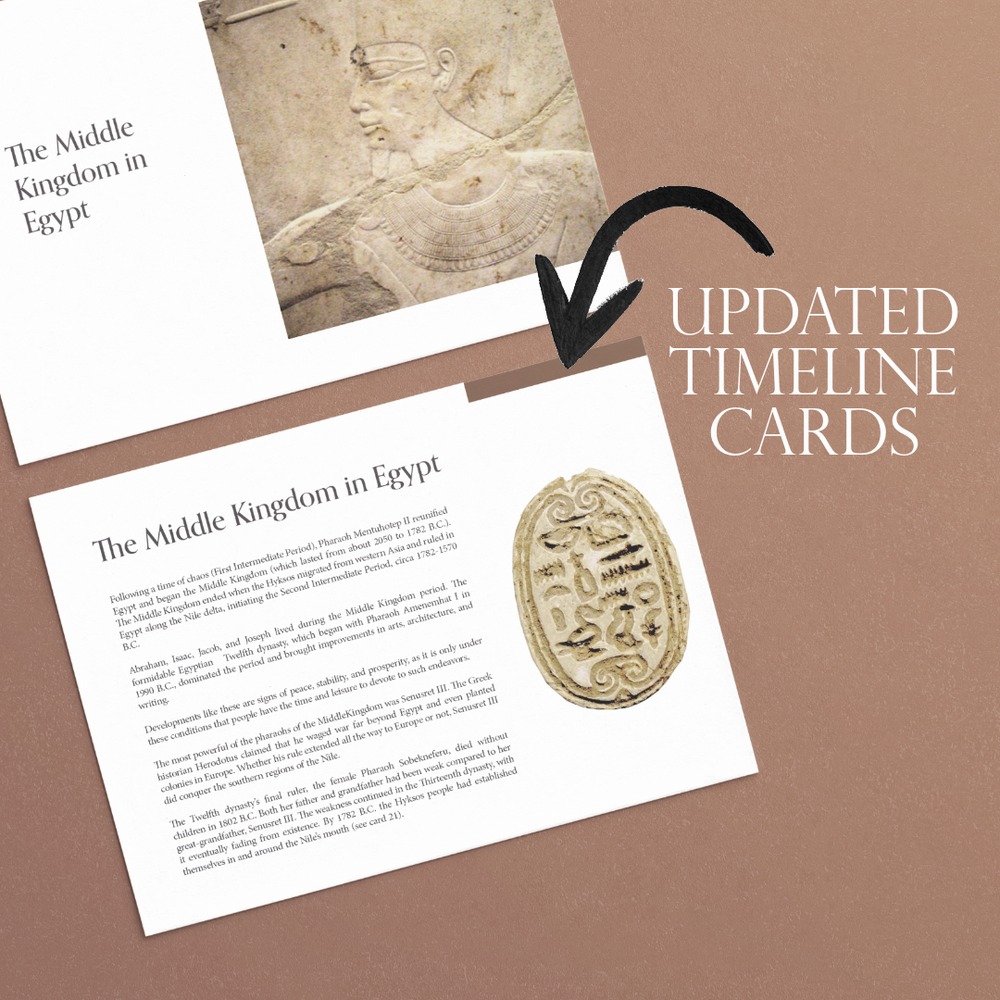 New Timeline Cards