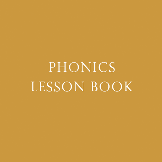 Phonics Lesson Book